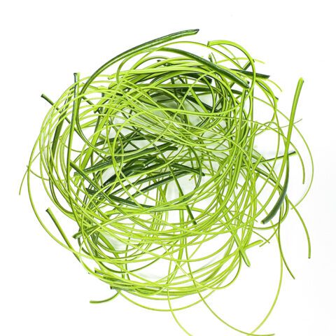 Stringers - Green - 90COE