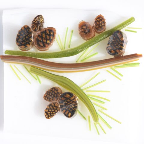 Murrine - Pine Cone - 90COE