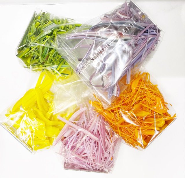 Vitrigraph Glass Stringers - Shorts - 90COE