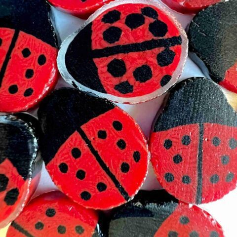 XL Murrine - Ladybug - 96COE