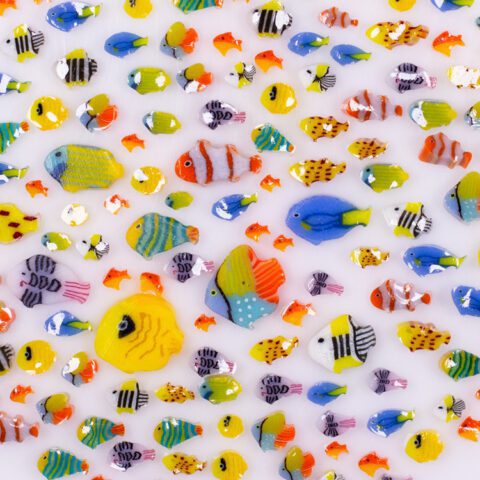 Murrine - Mixed Sizes - Tropical Fish Mix - 90COE