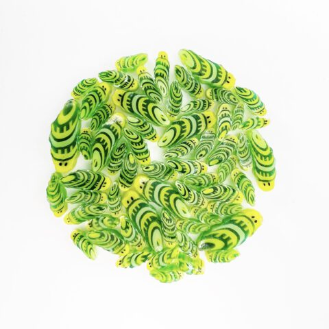 Murrine - Mixed Size - Caterpillar - 96COE