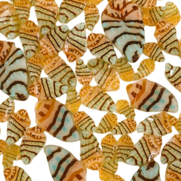 Murrine - Mixed Sizes - Kings Crown Shell - 96COE