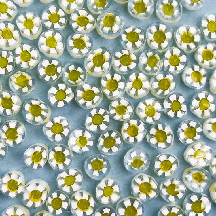 Murrine - Float Glass - Daisy Flower