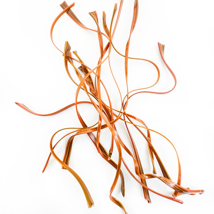 Stringers - Brown Flat Tree Branches - 90COE - Image 2