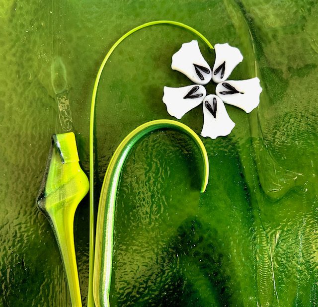 Curious XL - 5 White Star Flower petals- 90COE
