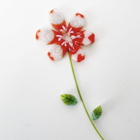 Curious XL - Christmas Gnomes - 90COE - 6 petals