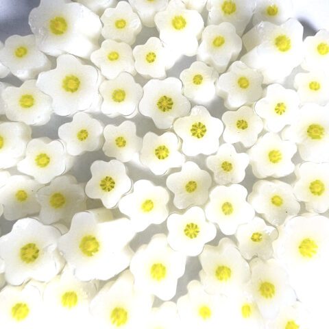 Murrine - Flowers - Strawberry Flower - 96COE