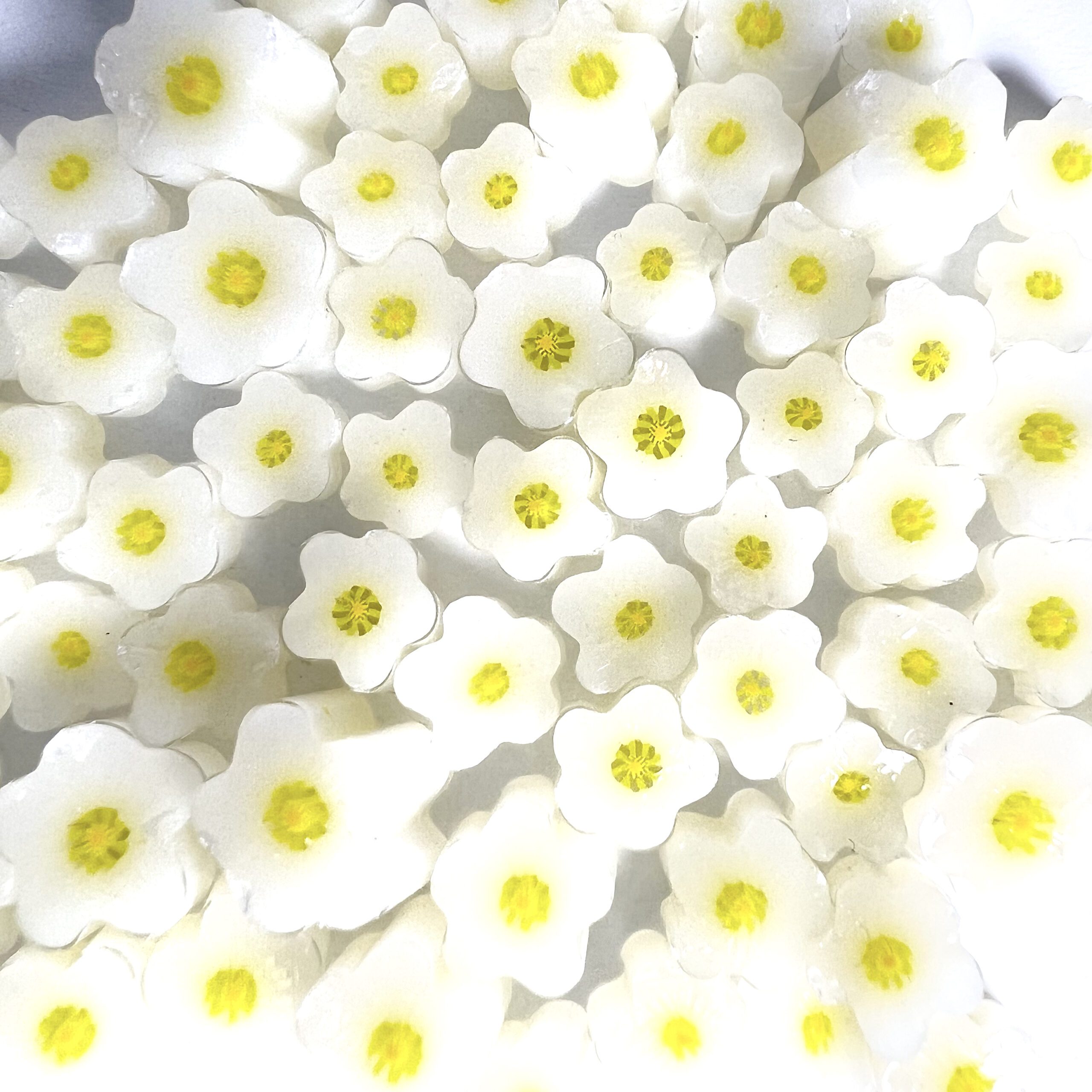 Murrine - Flowers - Strawberry Flower - 96COE