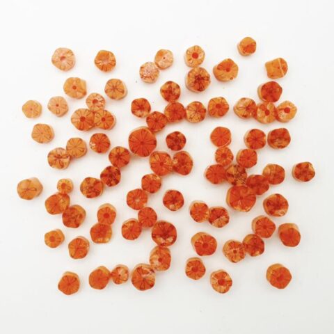 Curious - Orange Carnation - 90COE - 25g