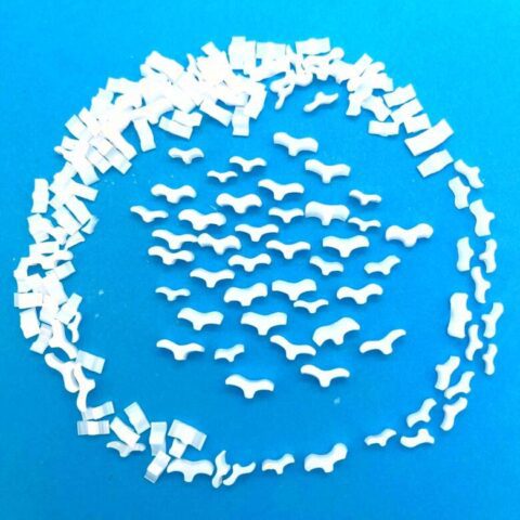 Murrine - Animals - Seagull - 96COE