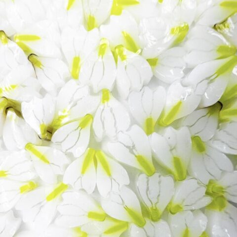 Murrine - Flowers - Snowdrop - 90COE