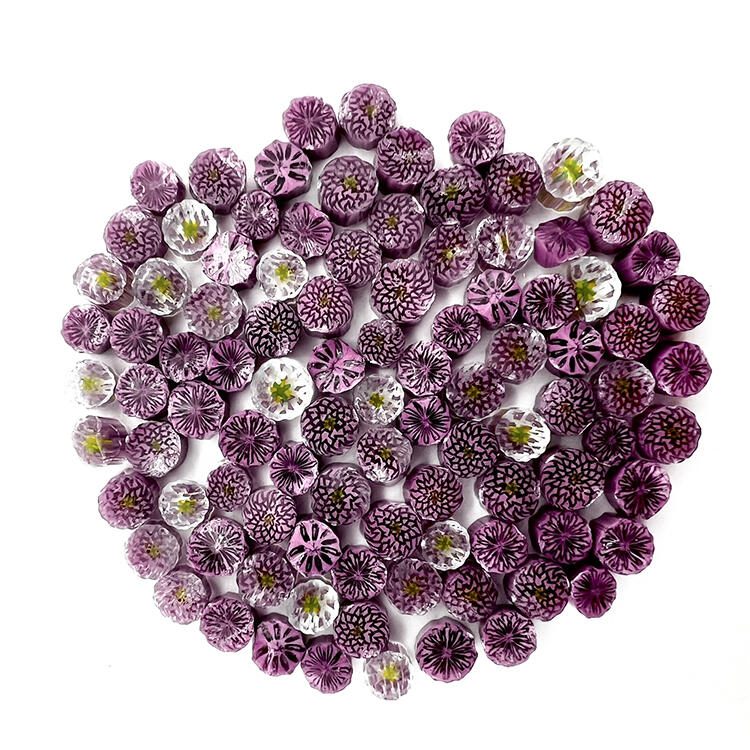 Murrine - Flowers - Purple Chrysanthemum - 96COE