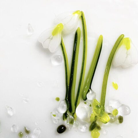 Murrine - Snowdrop Plant Mix - 90COE