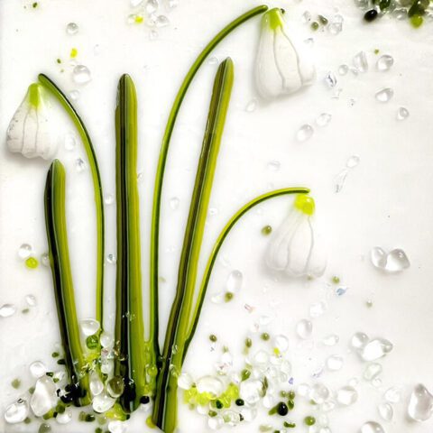 XL Murrine - Snowdrop Plant Mix- 90COE