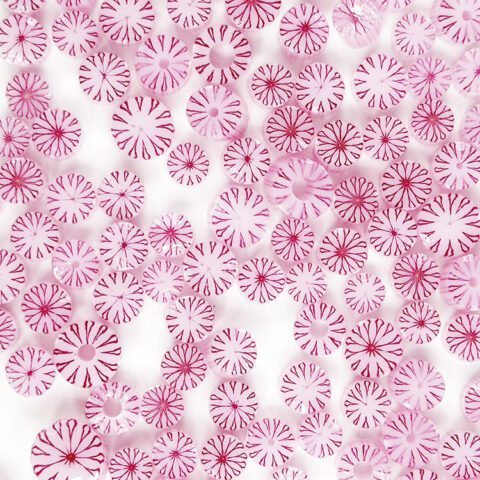 Curious - Pink Chrysanthemum - 90COE - 25g