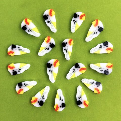 XL Murrine - Cockatoo - 90COE