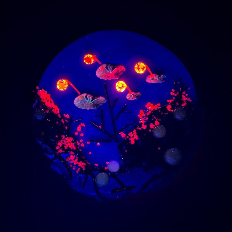 Fused Glass Deep Sea Mini Scene