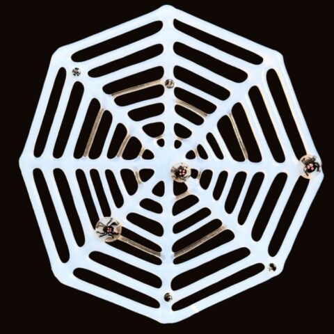 Fused Glass Spider Web
